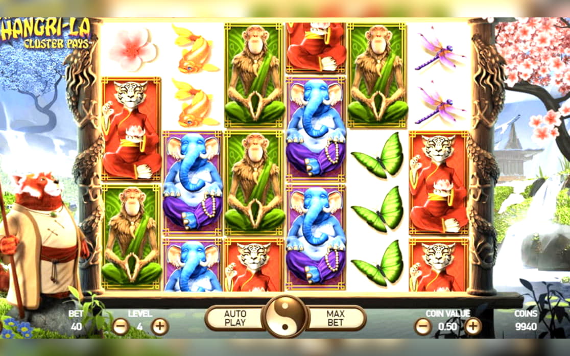 65 Free spins at Hippozino Casino