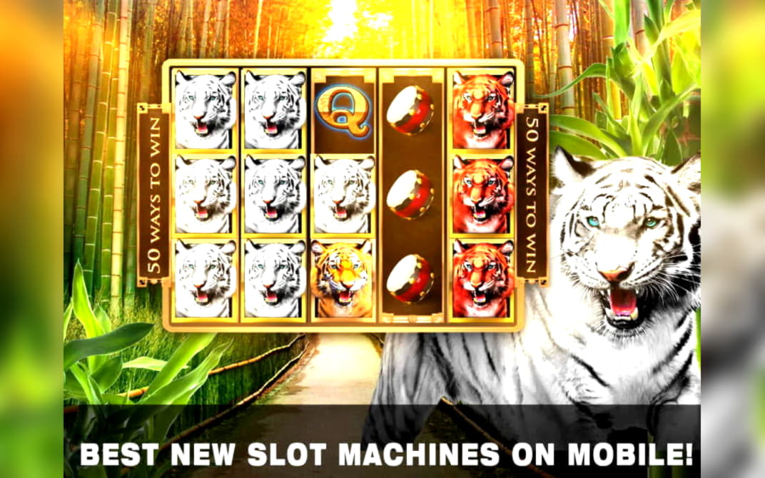 $4190 No deposit bonus casino at Leo Dubai Casino
