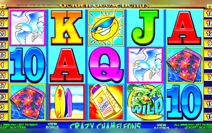 265 free spins casino at Rizk Casino