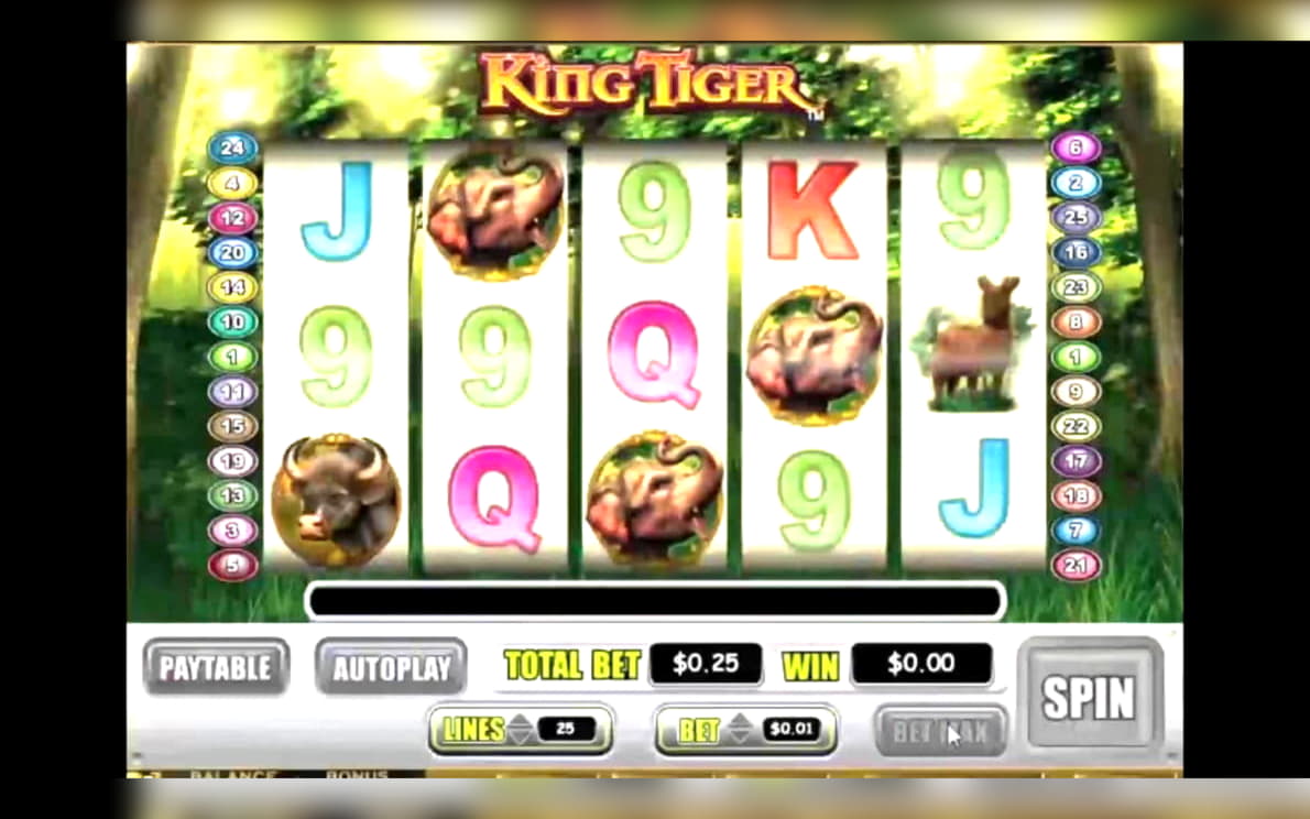 £615 Casino tournaments freeroll at Online Bets Casino