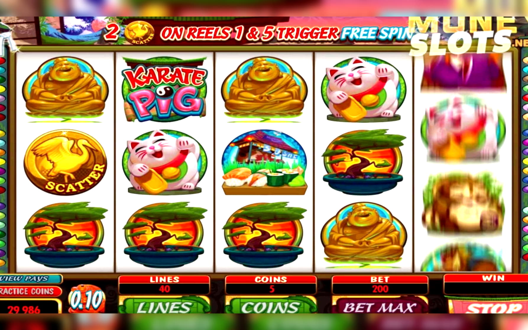 310% Signup Casino Bonus at Leo Dubai Casino