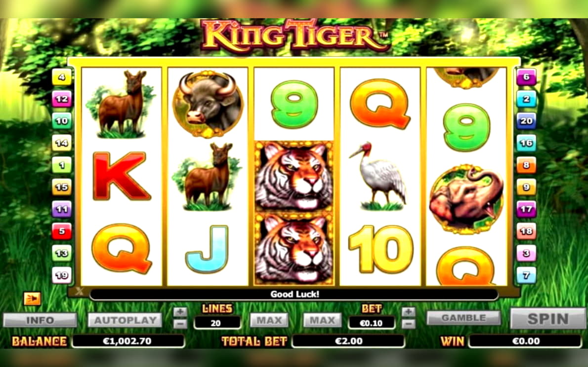 €785 No Deposit Bonus Code at Casino Cruise