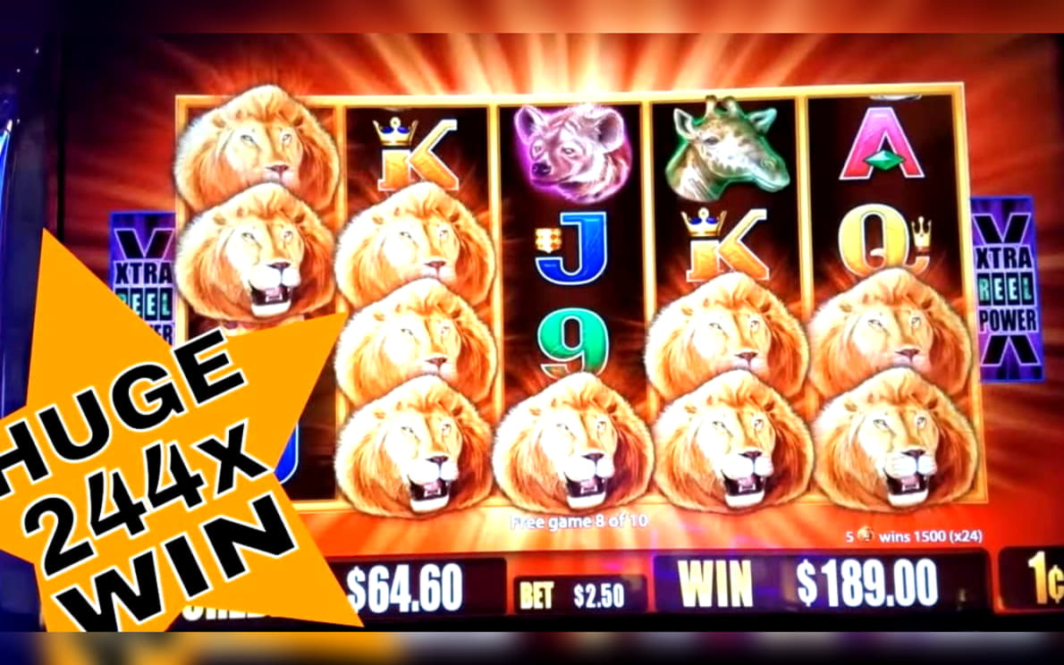 715% Match Bonus at Hippozino Casino