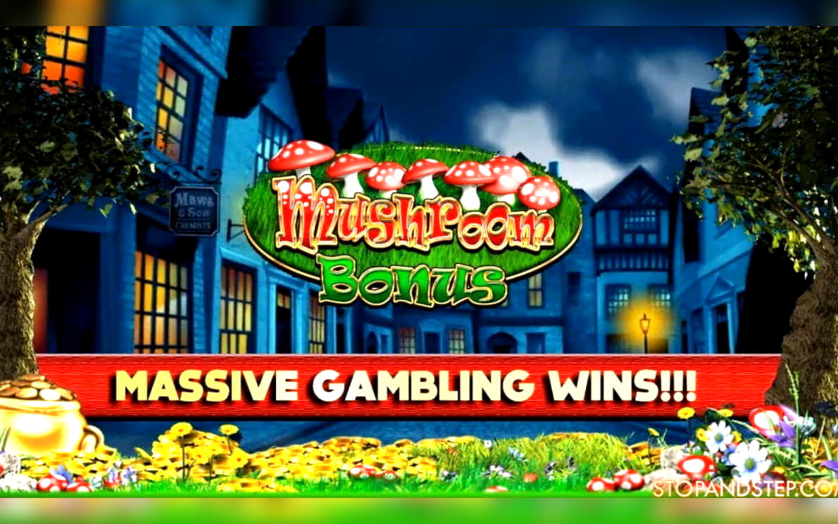 ﻿$800 no deposit bonus at Casino Cruise