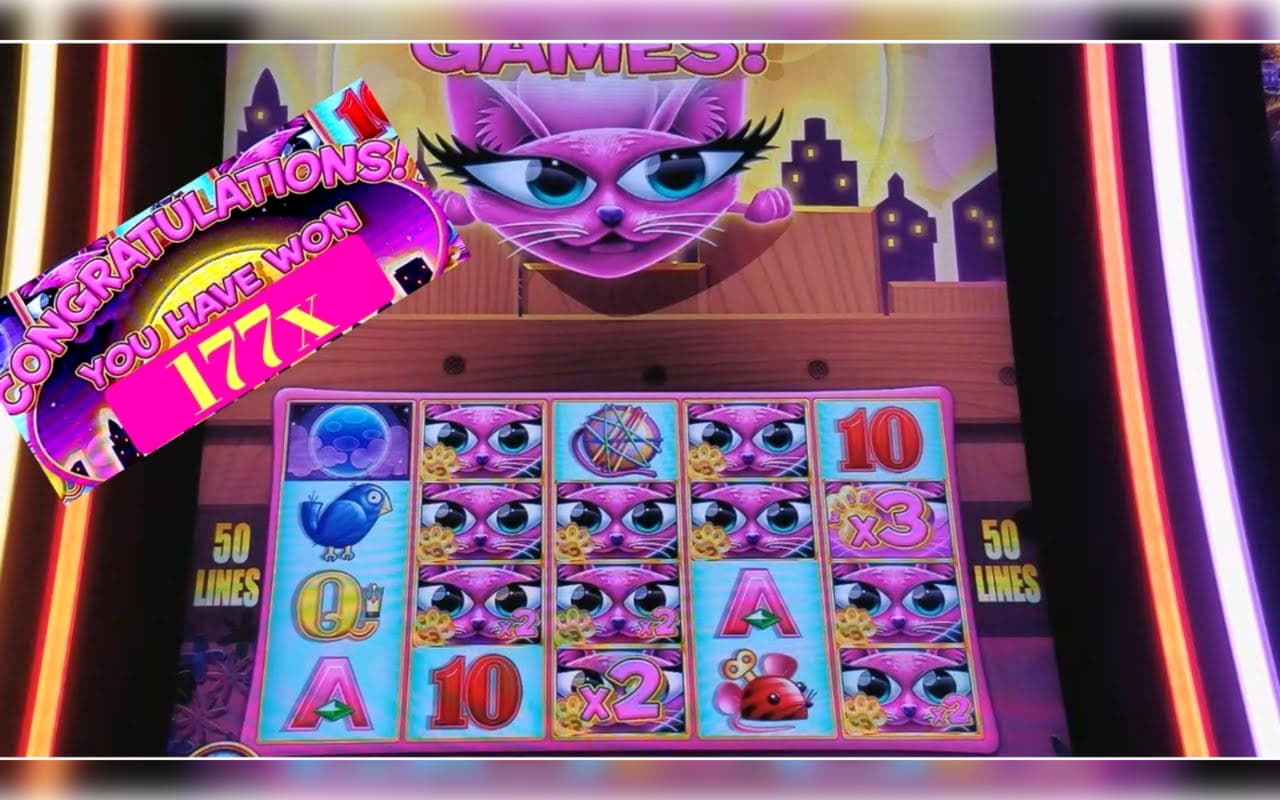 ﻿$666 Daily freeroll slot tournament at Leo Dubai Casino