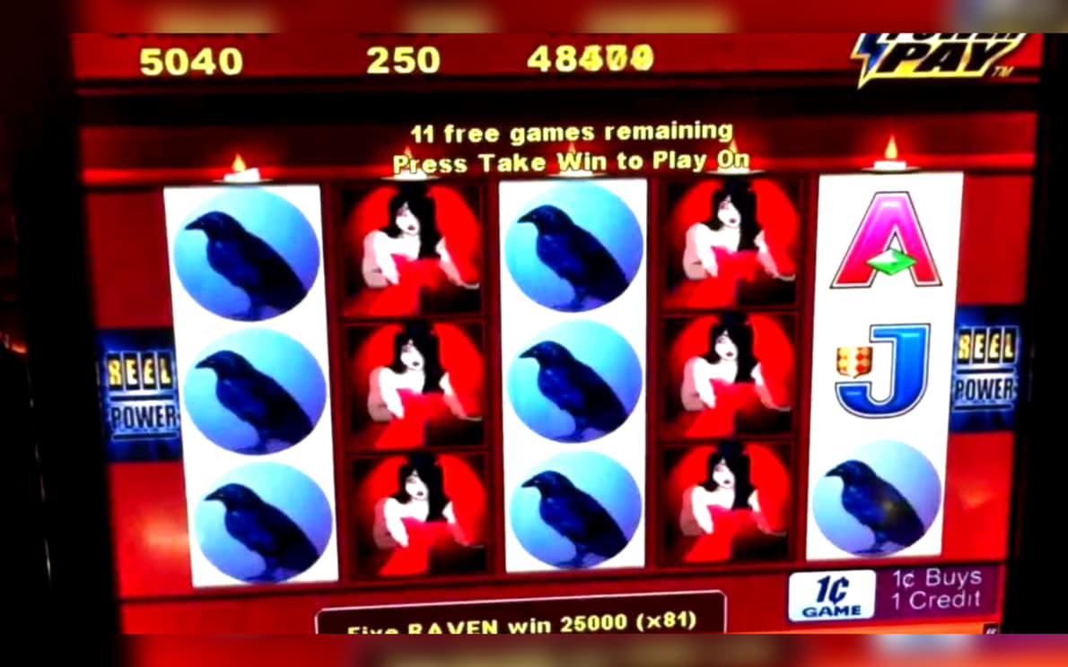 100 FREE SPINS at Rizk Casino