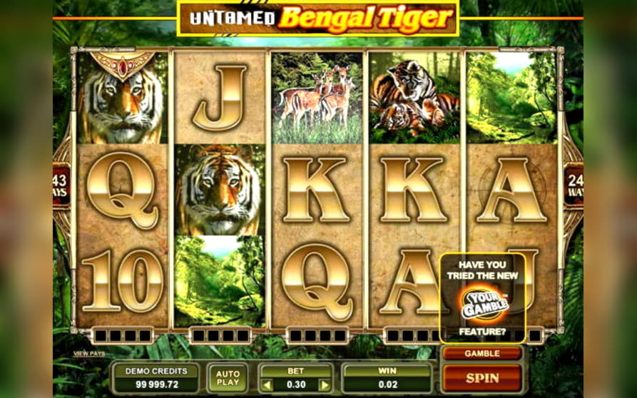 EURO 215 no deposit bonus code at Casino Luck