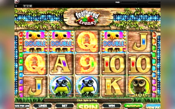 Eur 365 Online Casino Tournament at Vera and Jhon Casino