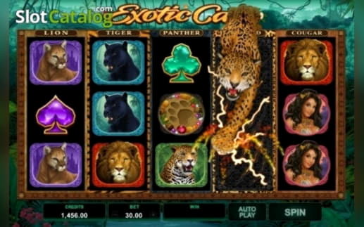 200 Free Spins at Guts Casino