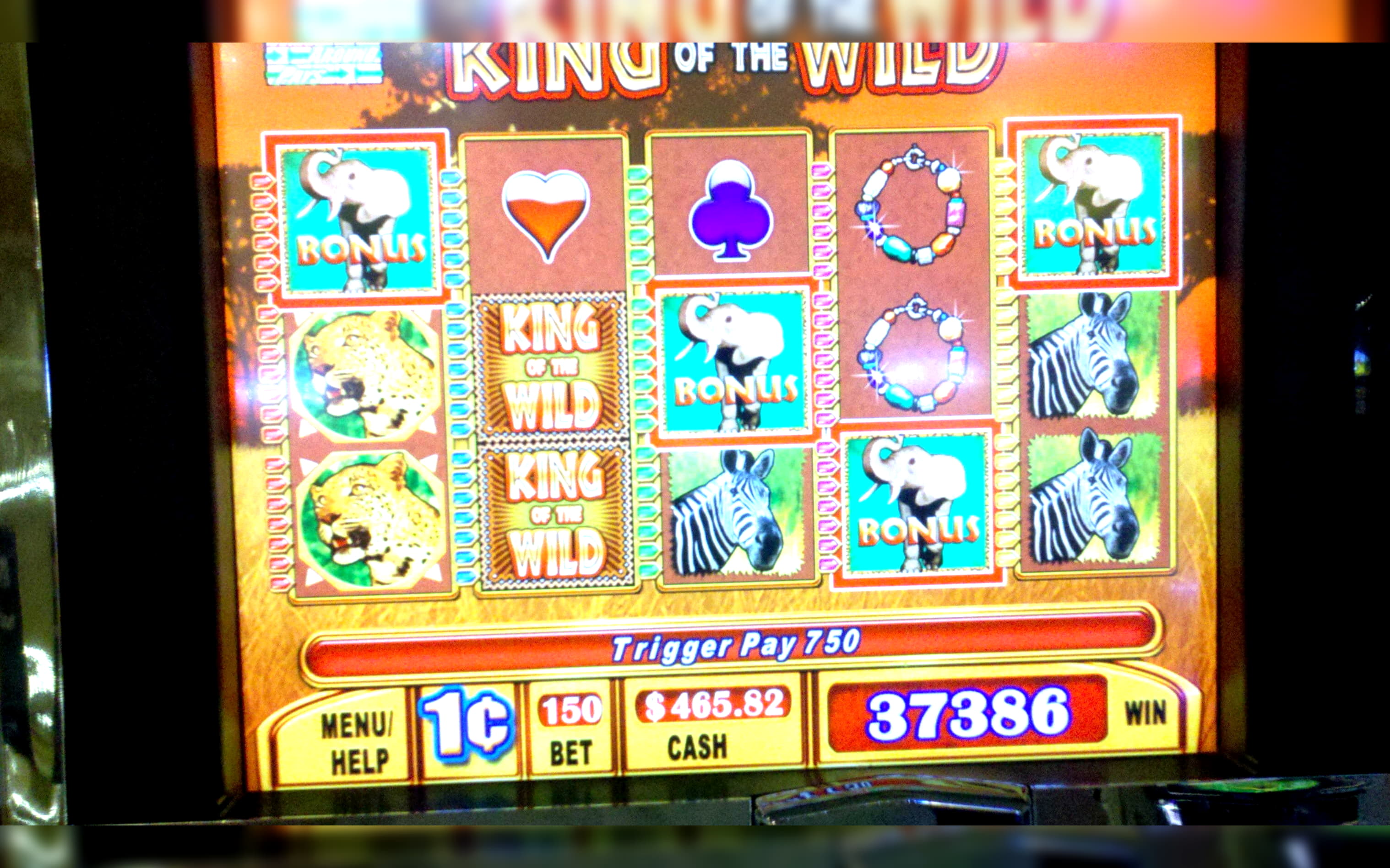 180 Free spins casino at Hippozino Casino