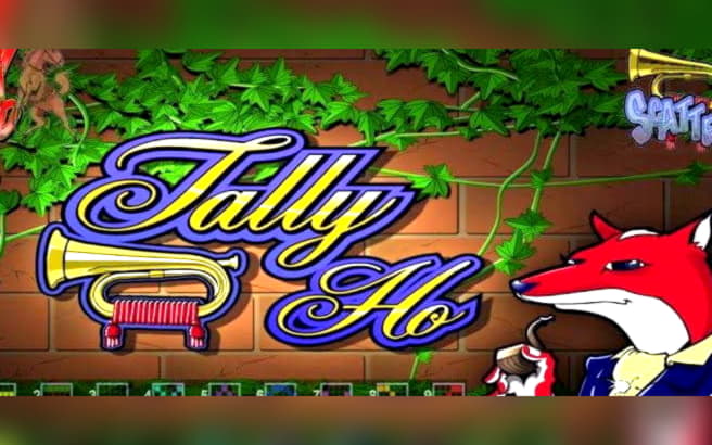 ﻿$265 Free Money at Rizk Casino