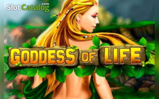 EUR 550 Mobile freeroll slot tournament at Online Bets Casino