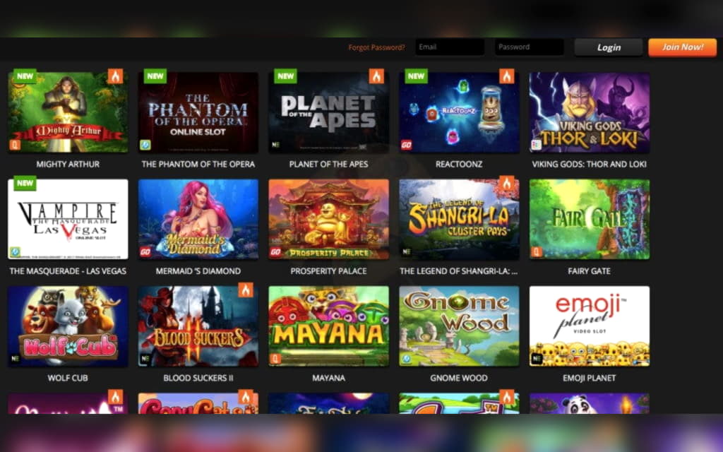 €565 No Deposit Bonus Code at Leo Dubai Casino