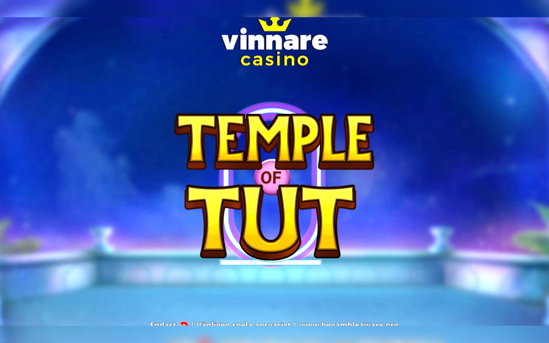 €560 Casino chip at BGO Casino