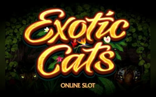 390% No Rules Bonus! at Party Casino