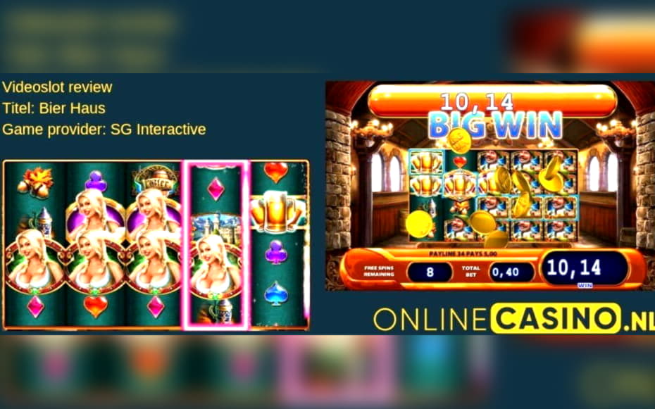 55 FREE SPINS at Hippozino Casino