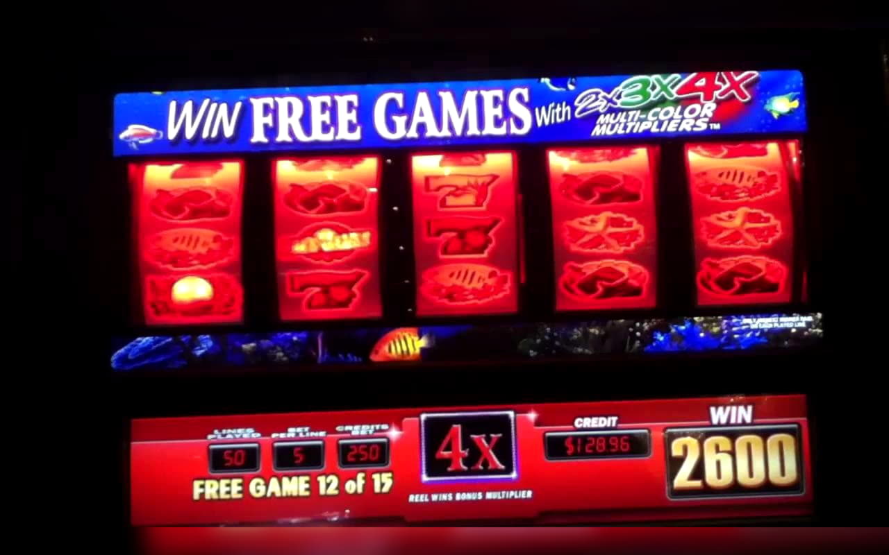 705% No Rules Bonus! at Dunder Casino