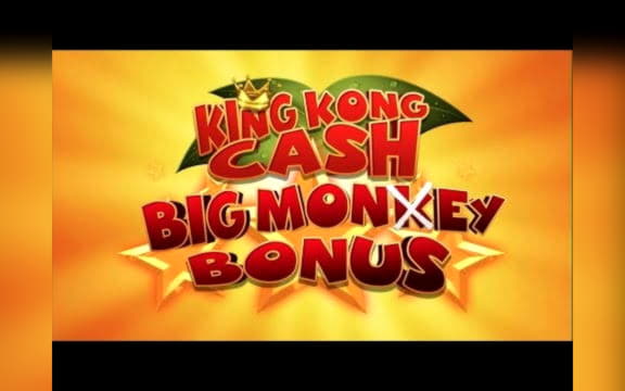 120 Free Spins no deposit casino at Hippozino Casino