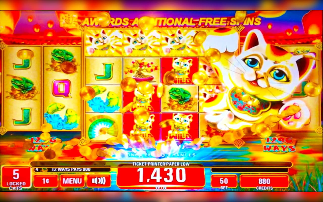 €3310 No Deposit Bonus at Rizk Casino