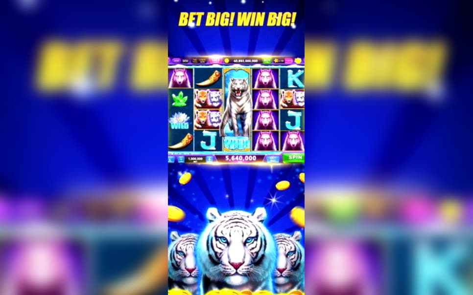EUR 4600 No deposit bonus casino at Hippozino Casino