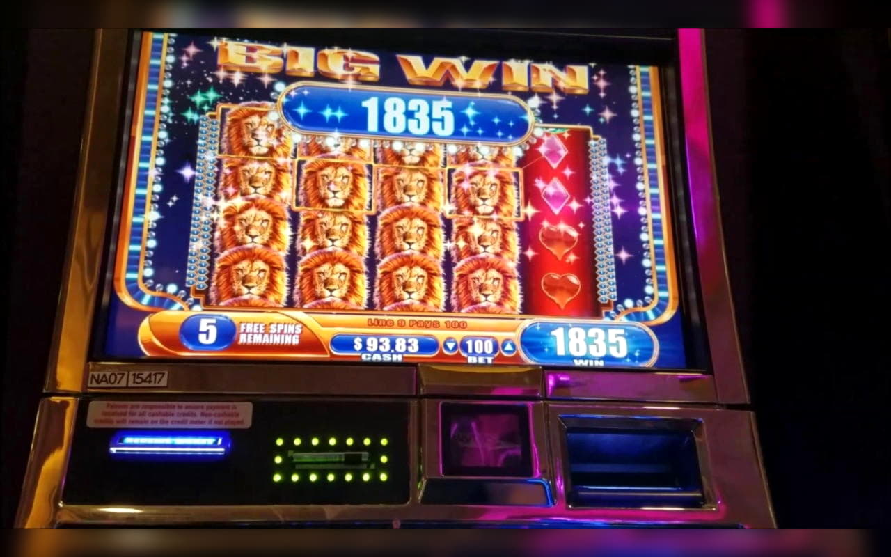 860% No Rules Bonus! at Vera and Jhon Casino