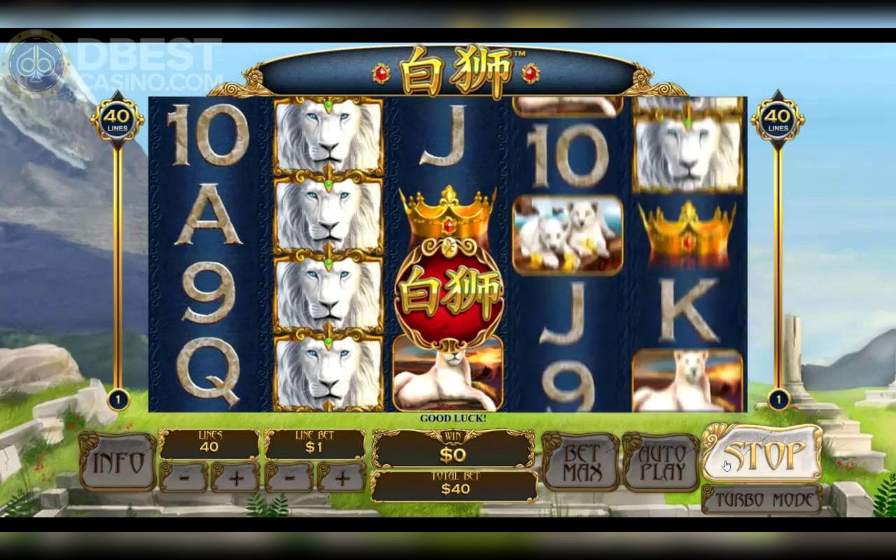 250 Free Spins right now at Leo Dubai Casino