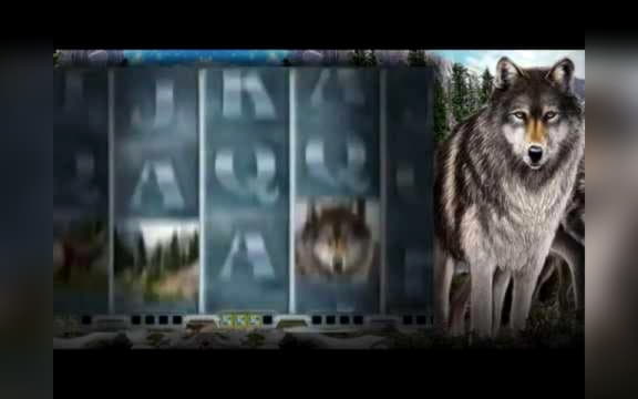 €935 Mobile freeroll slot tournament at Party Casino