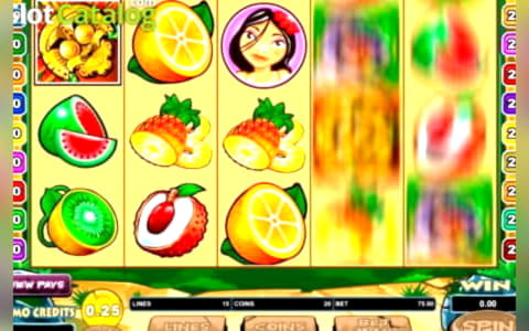 ﻿$60 Daily freeroll slot tournament at Jackpot City Casino