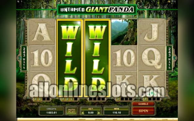 €465 Casino Chip at William Hill Casino
