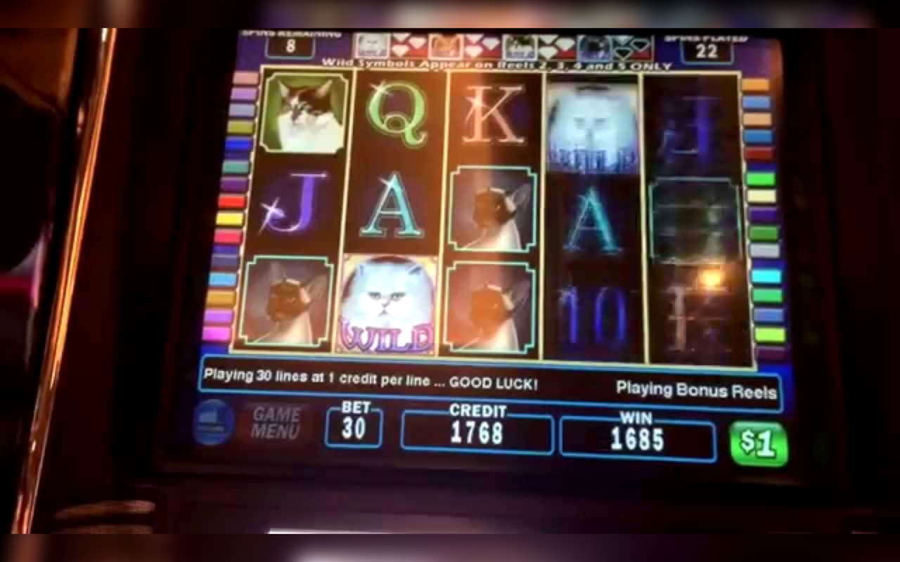 66 free spins casino at bWin Casino