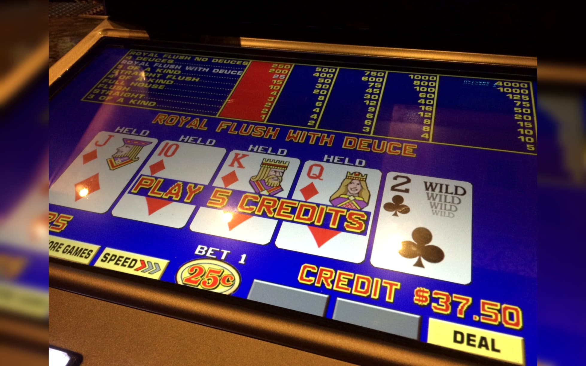 11 free spins no deposit at bWin Casino