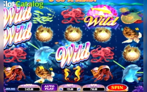 145 Free Spins no deposit at 888 Casino