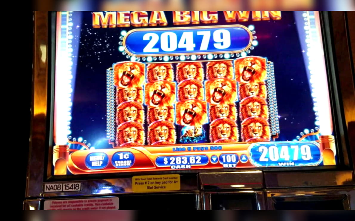 110 free spins no deposit at Vera and Jhon Casino