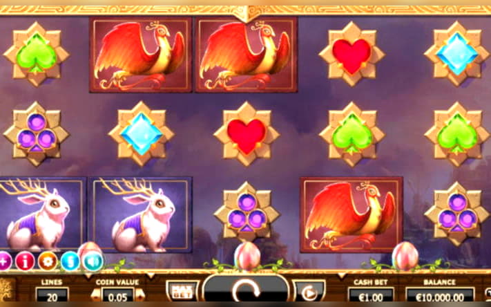 335% Casino Welcome Bonus at Hippozino Casino