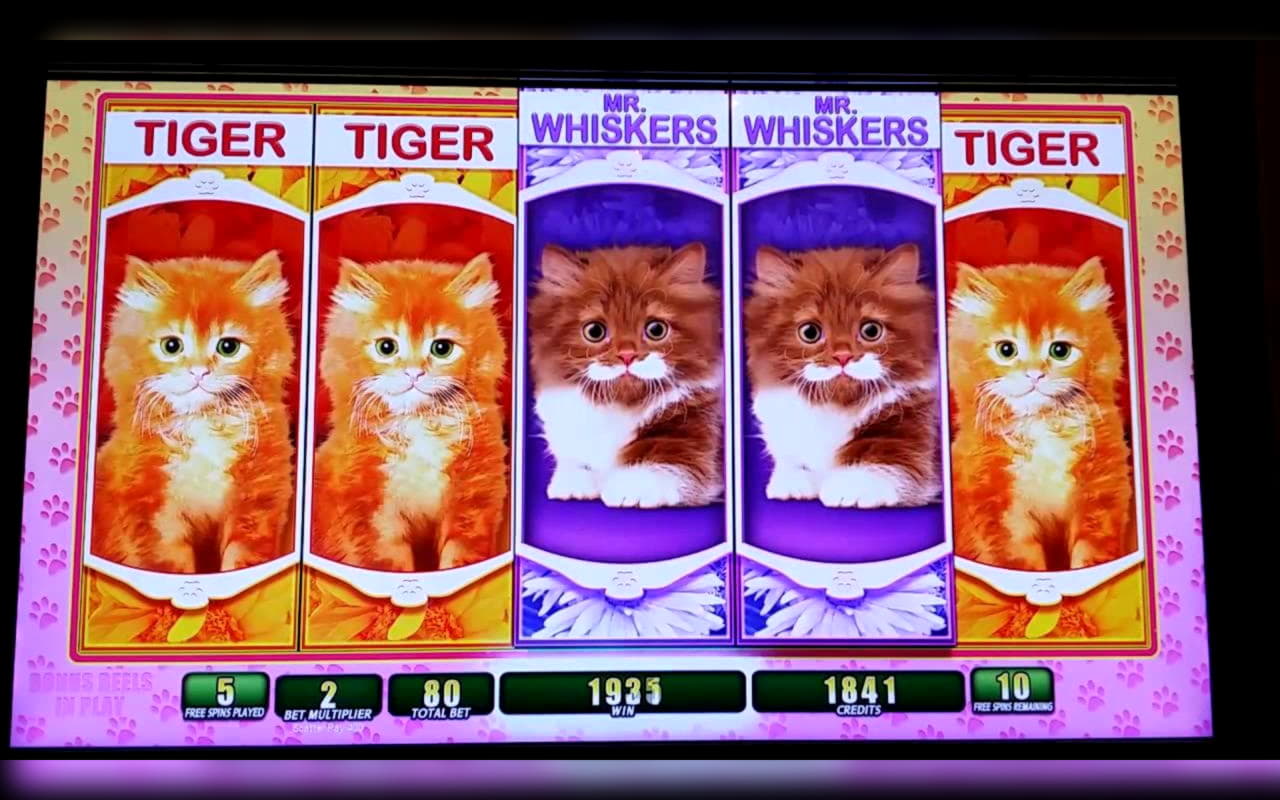 33 free casino spins at Leo Dubai Casino