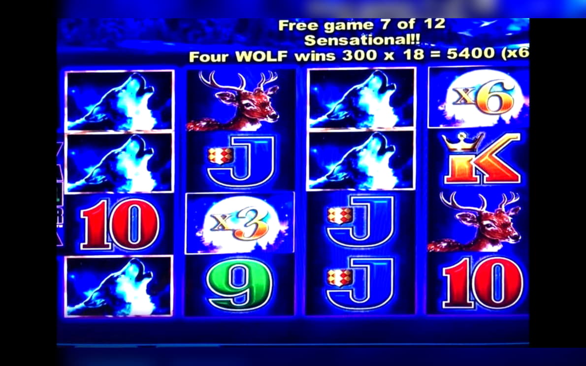 $1180 No Deposit Bonus at Spin Palace Casino