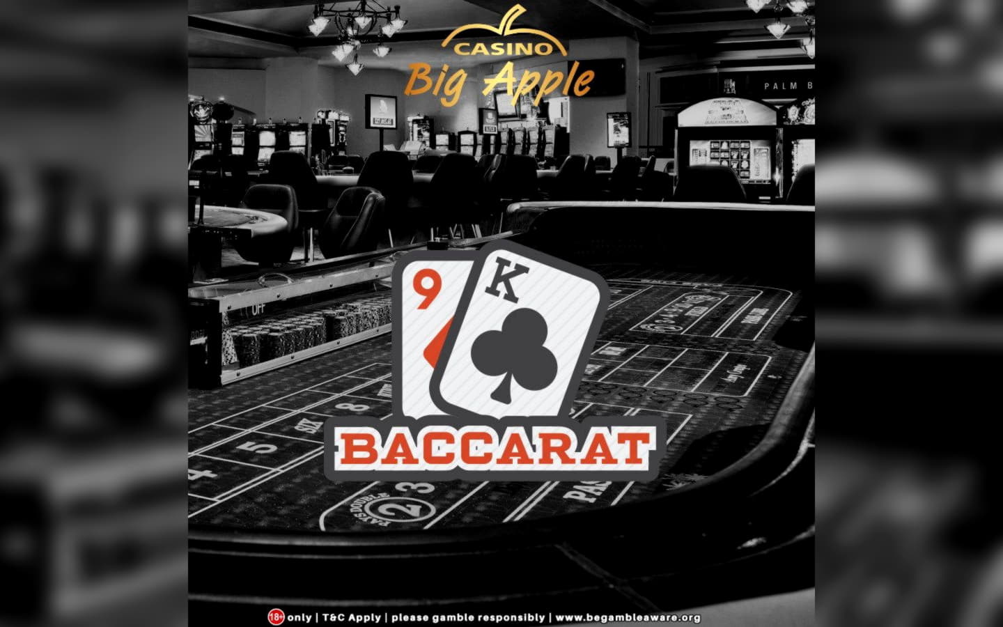 $415 free casino chip at Betnspin Casino