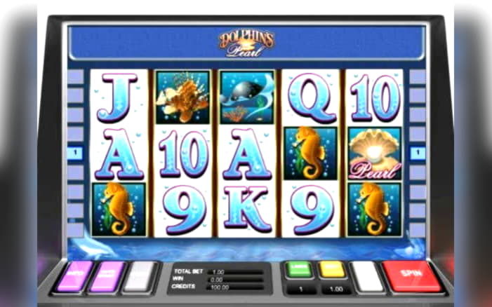 255 free spins no deposit casino at Rizk Casino