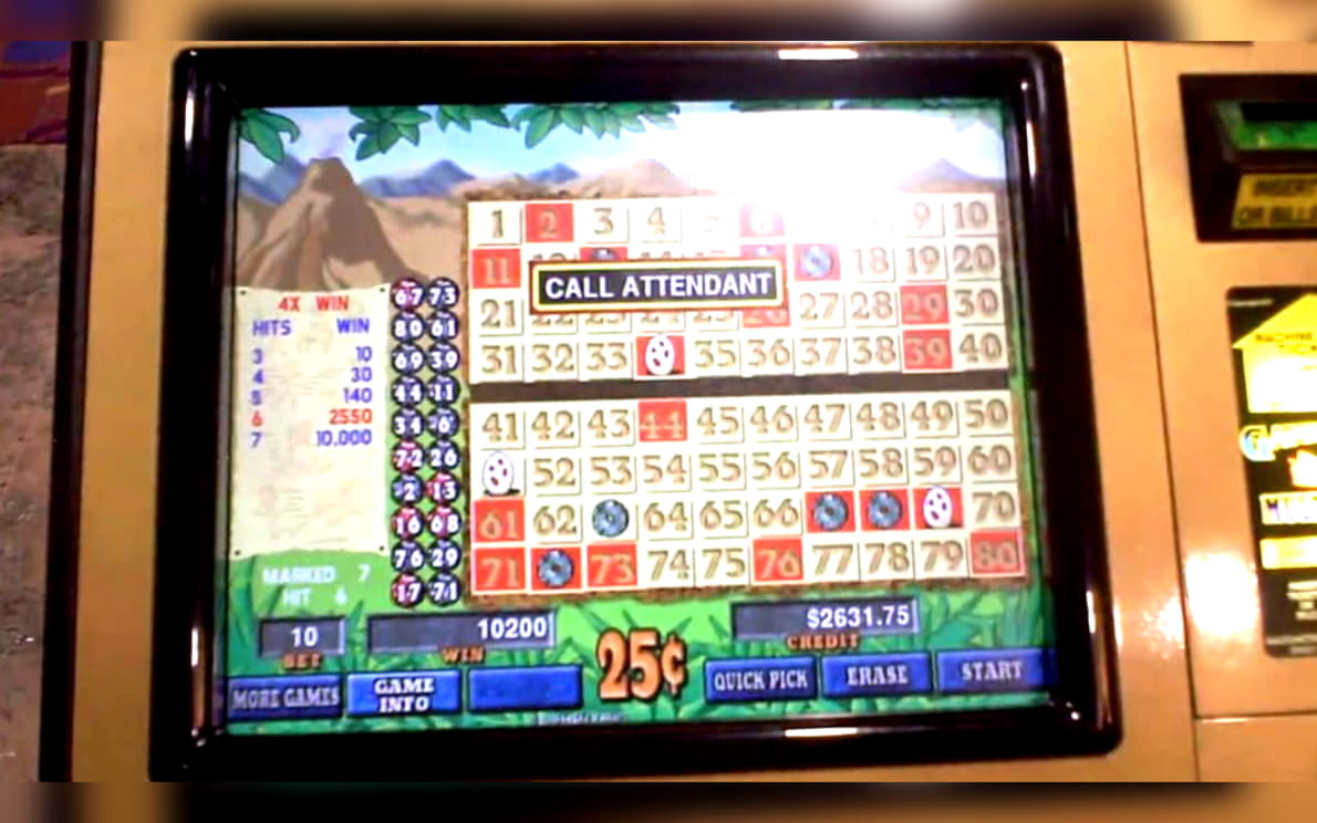 250 free spins casino at Rizk Casino