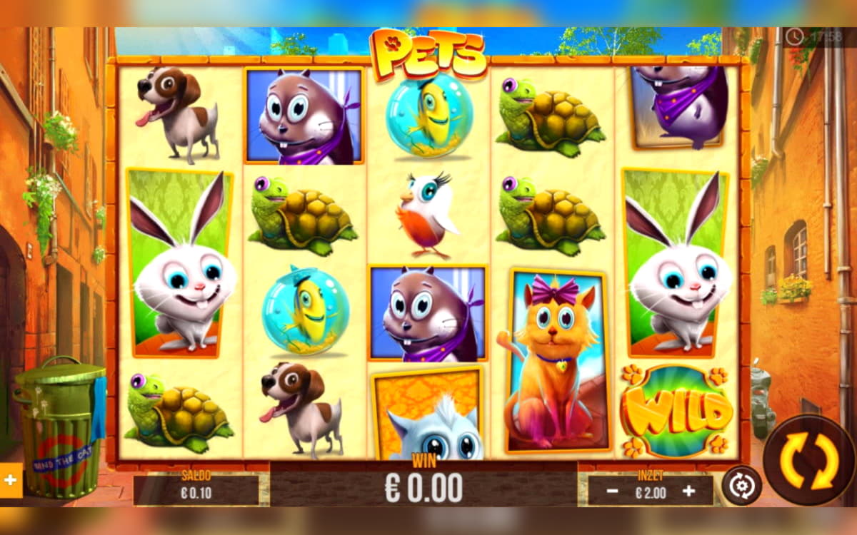 255 free casino spins at Dunder Casino
