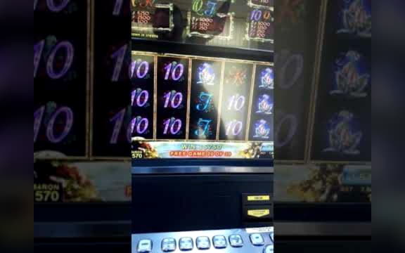 EURO 810 no deposit at Hippozino Casino