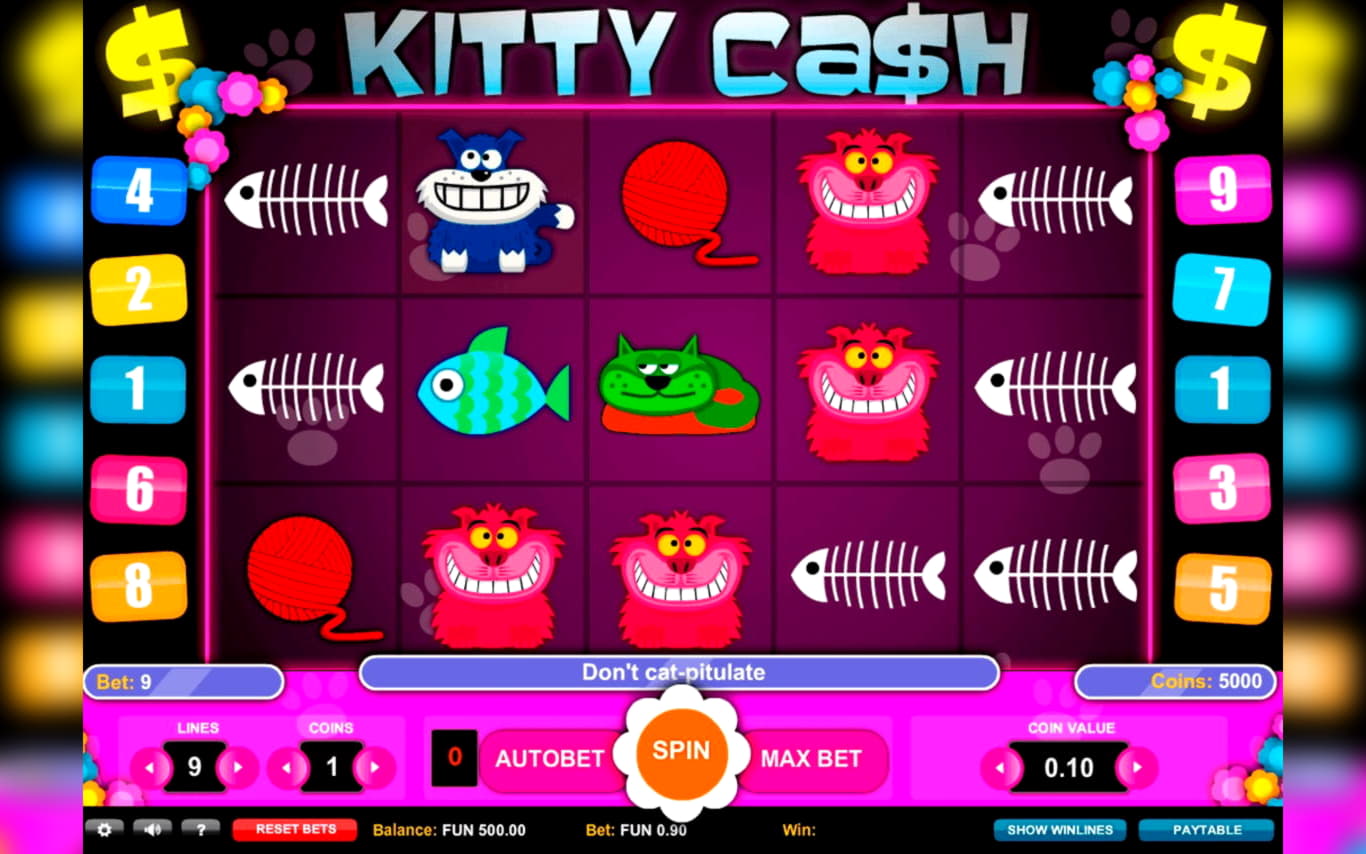25 Loyal Free Spins! at Hippozino Casino