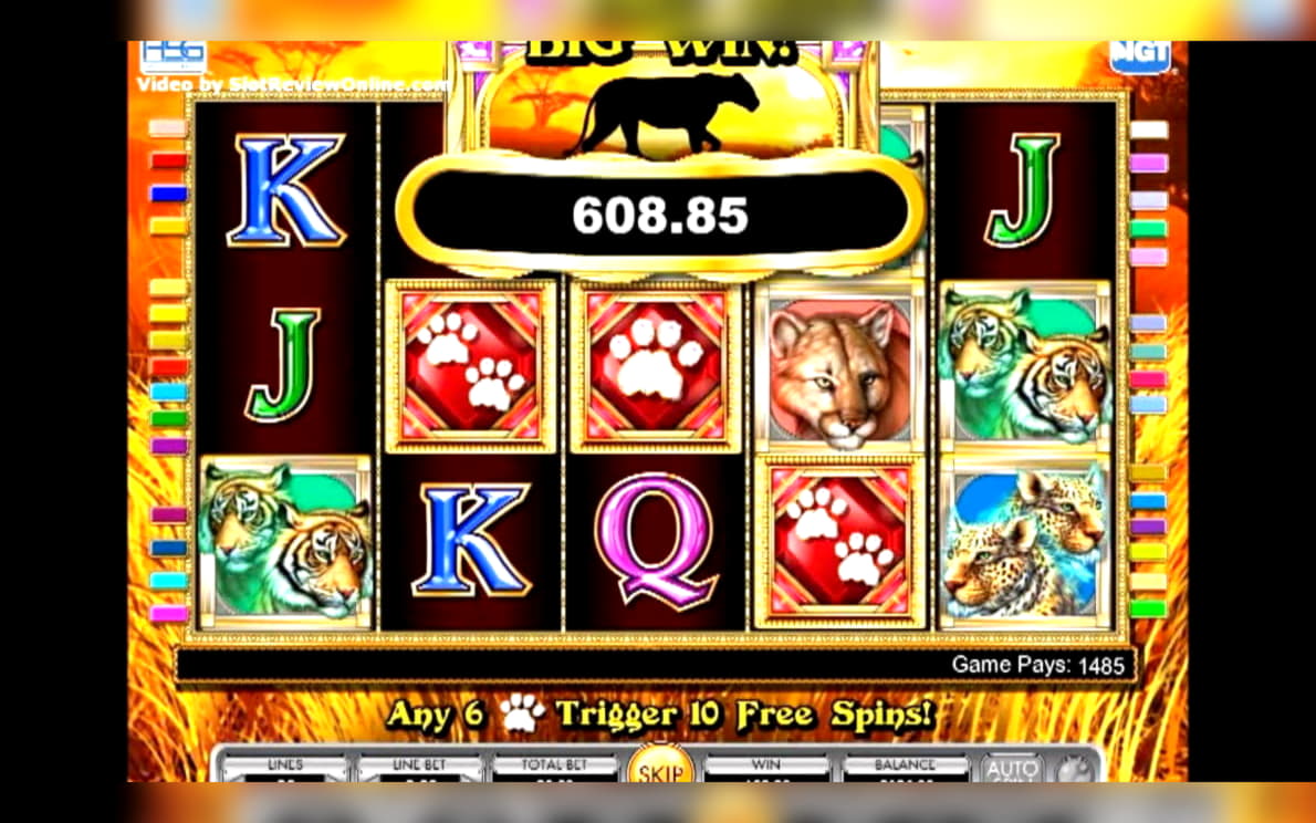 EURO 335 Daily freeroll slot tournament at Casino Cruise