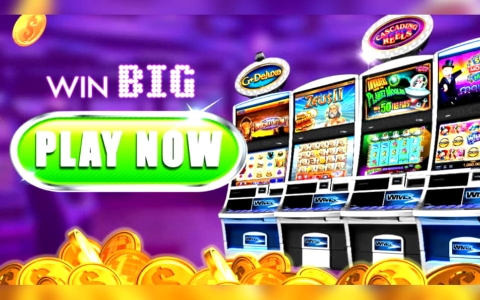 55 Free Spins no deposit casino at Hippozino Casino