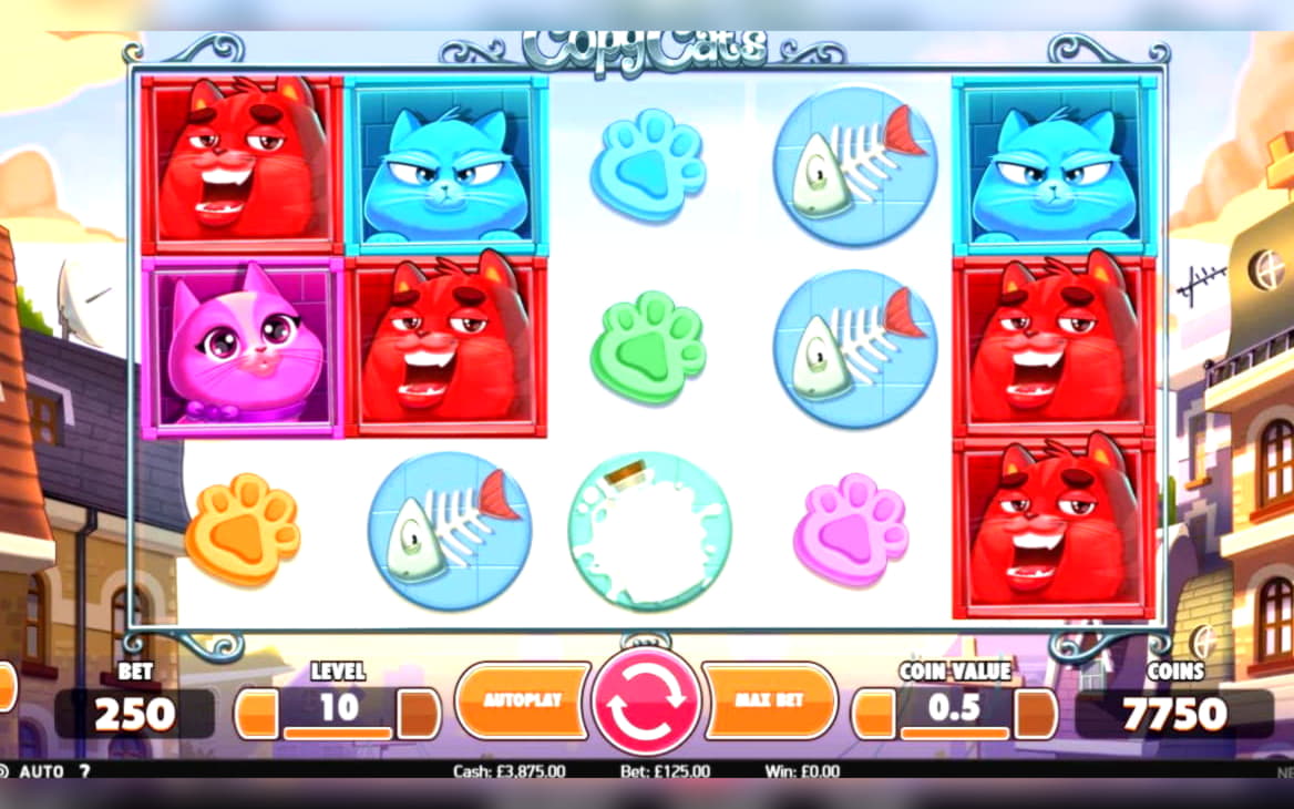 €585 Casino Tournament at Casino Cruise