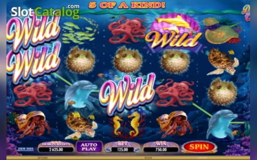 €920 Online Casino Tournament at Casino Cruise
