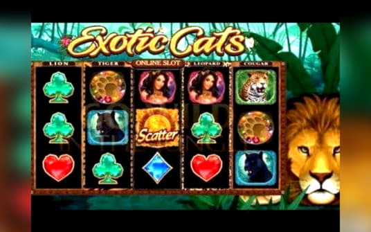 EURO 222 FREE Casino Chip at Jackpot City Casino