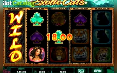 €425 Mobile freeroll slot tournament at Betway Casino
