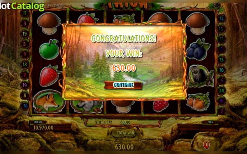 640% Match Bonus at BGO Casino