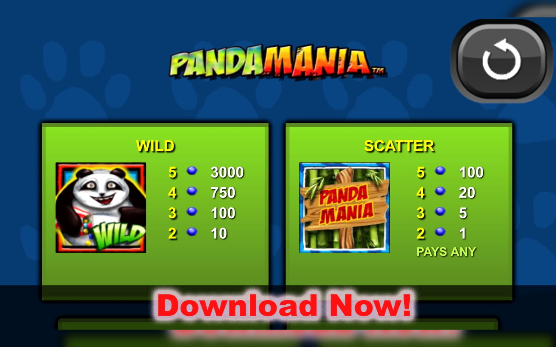 595% casino match bonus at Rizk Casino